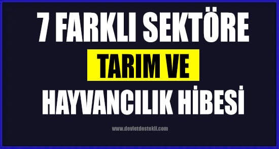 %65 Hibe Verilen İller Hangileri?