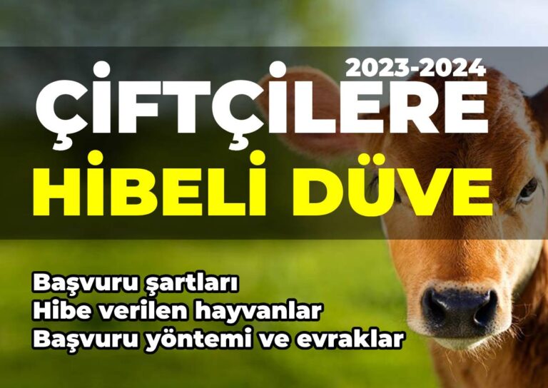 Düve alım desteği için Başvuru evrakları