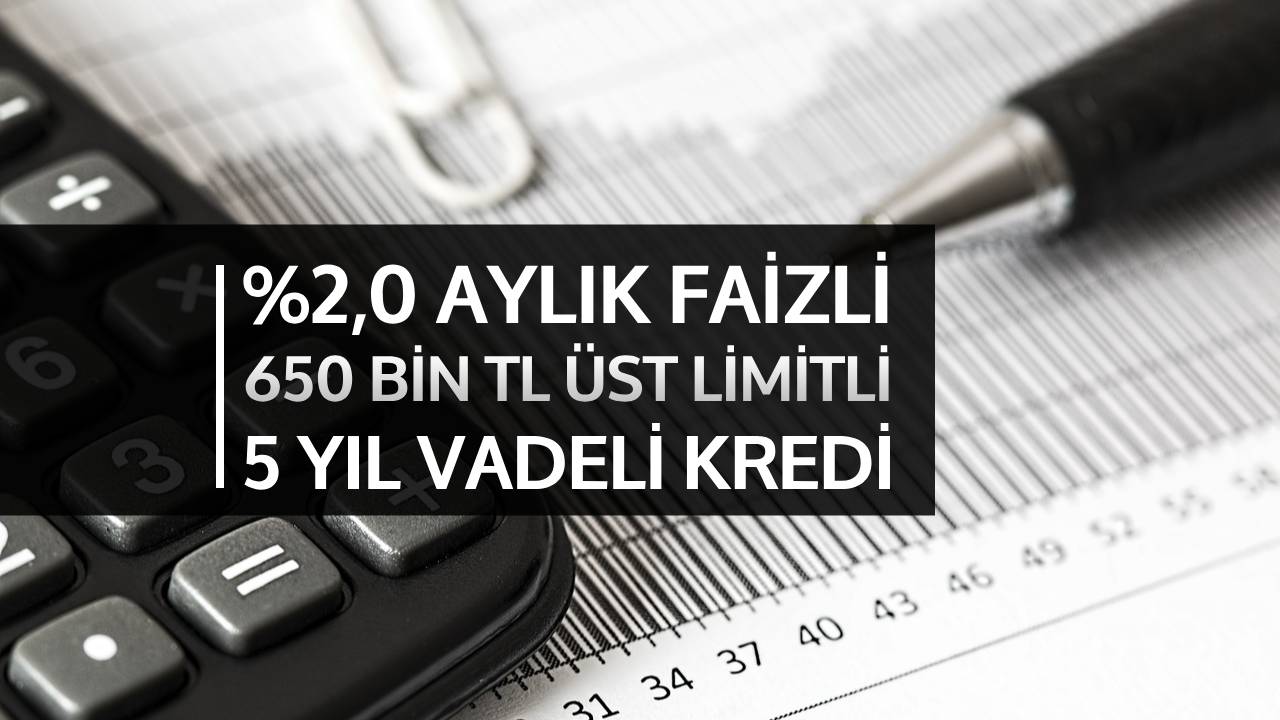 Esnaf Kefalet Kredi Hesaplama Robotu 2024 OCAK YÜZDE 2 YENİ FAİZ