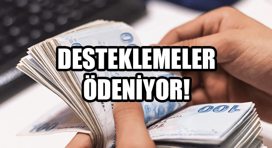 Temmuz Ayı Sosyal ve Ekonomik Destek Ödemeleri Hesaplara Yatırıldı!