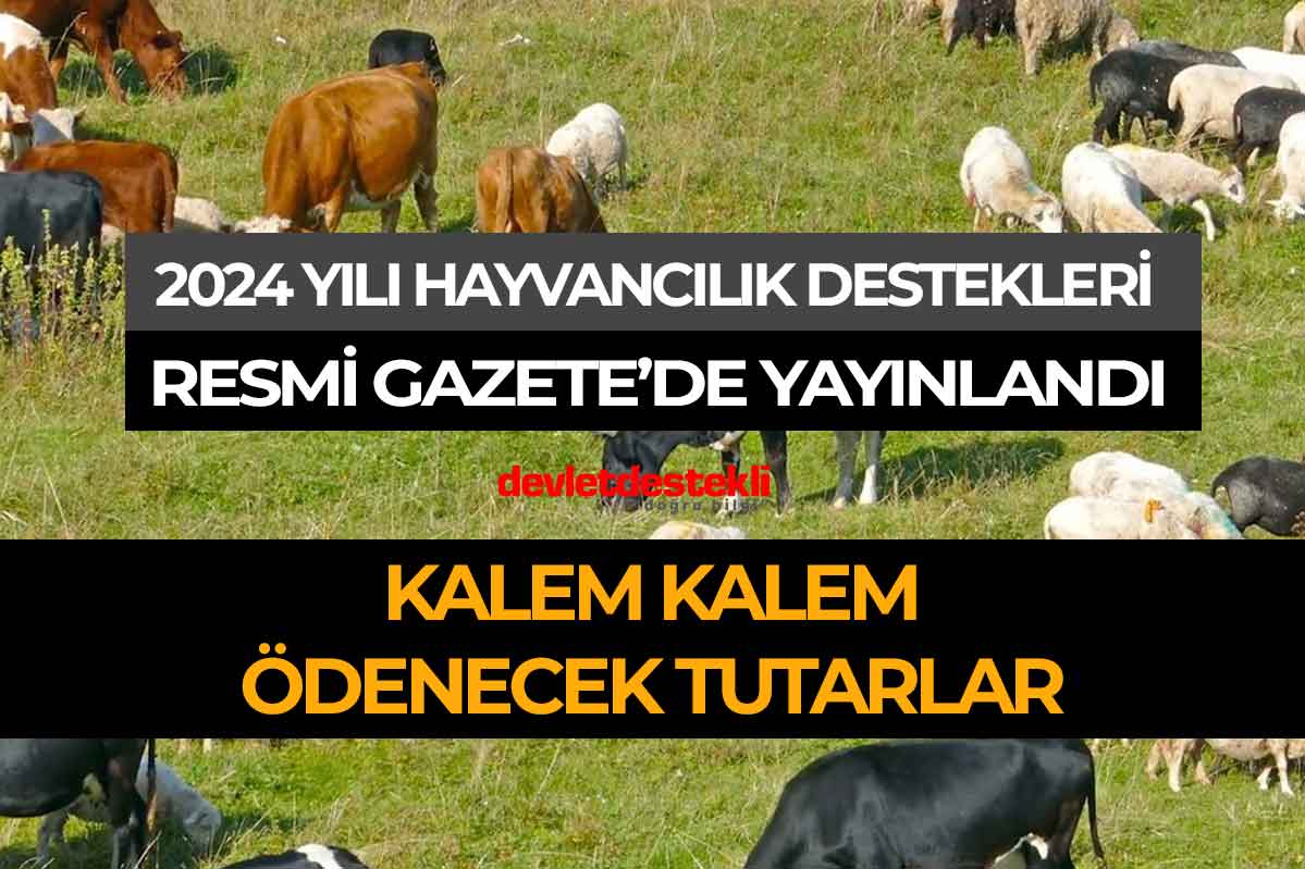 Çiftçilere 2024 Yılı Hayvancılık Destekleme Miktarlarını Kalem Kalem Açıkladık!